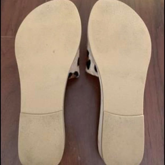 Coconuts by Matisse Leopard Print Sandals - Picture 3 of 4